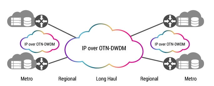 IP over OTN DWDM