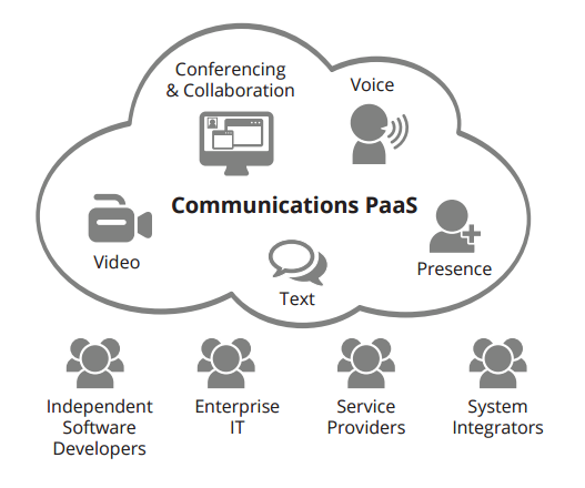 what is PaaS