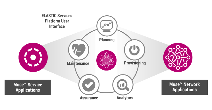 Muse Domain Orchestration Ribbon Communications