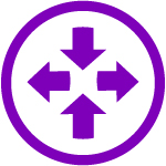 Neptune (NPT) IP Routing card icon