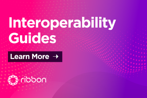 Interoperability Guides