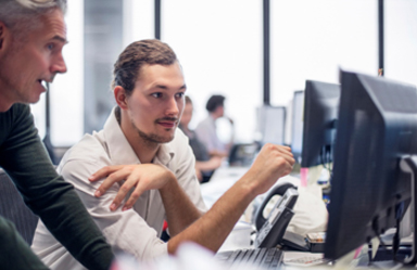 IT professionals IT professionals